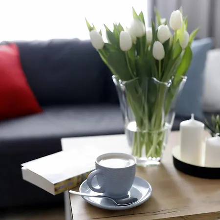 W Slupsku Centrum Bezplatny Parking Apartment Słupsk
