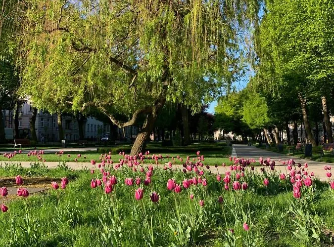 Lägenhet W Slupsku Centrum Bezplatny Parking