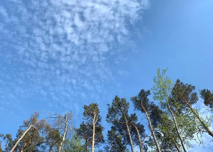 W Slupsku Centrum Bezplatny Parking Lägenhet